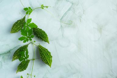 fssai Certified Company